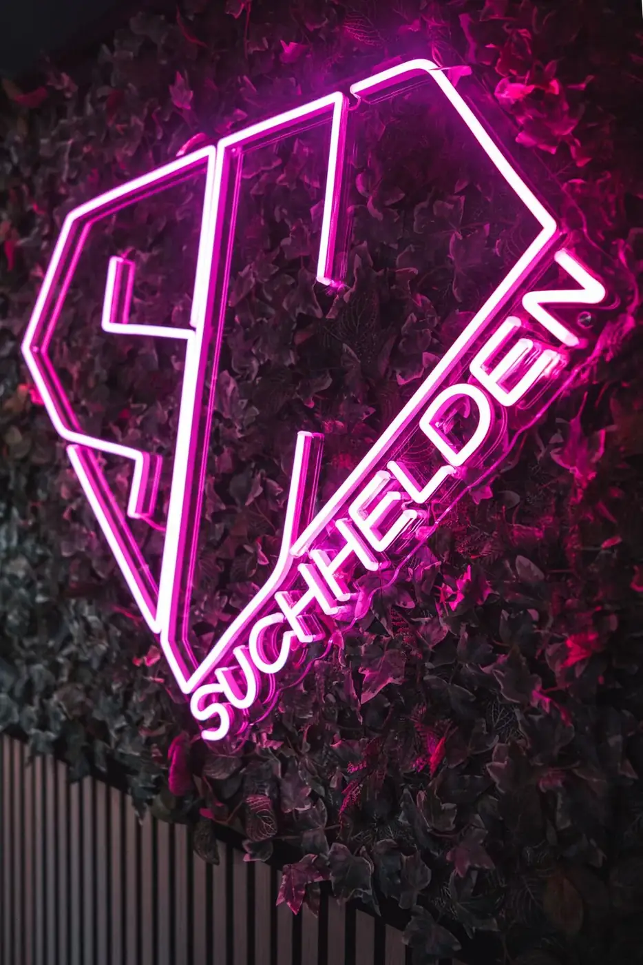 Pinkes SH-Neonlogo auf der Pflanzenwand im Suchhelden-BĂŒro in OsnabrĂŒck Pinkes SH-Neonlogo auf der Pflanzenwand im Suchhelden-BĂŒro in OsnabrĂŒck