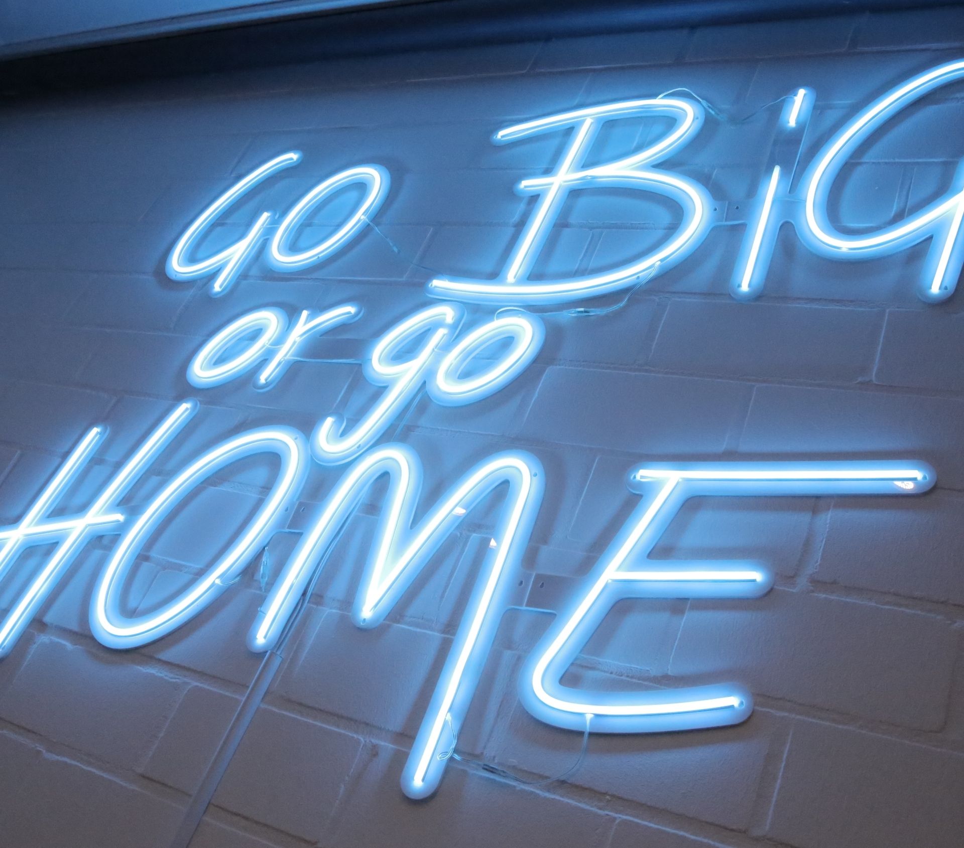 Leuchtschrift-Neon-Schild mit Go Big or Go Home