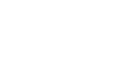 rheinzink